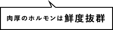 肉厚のホルモンは鮮度抜群