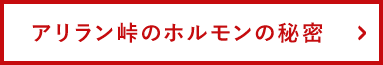 アリラン峠のホルモンの秘密